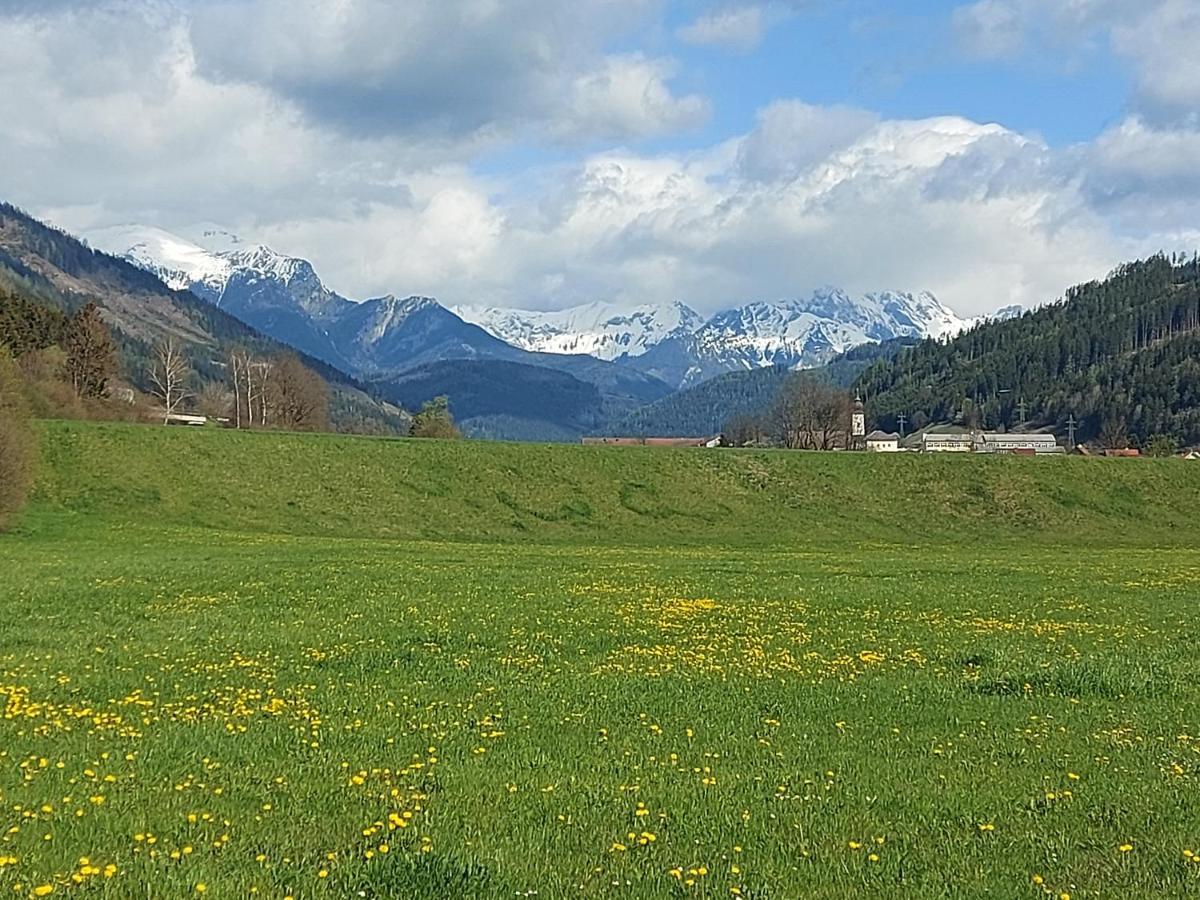 Auszeit Steiraland 6 Mit Ueberdachter Terasse Schoenen Garten Und Kostenlosen Parkplatz Leoben  Exterior foto